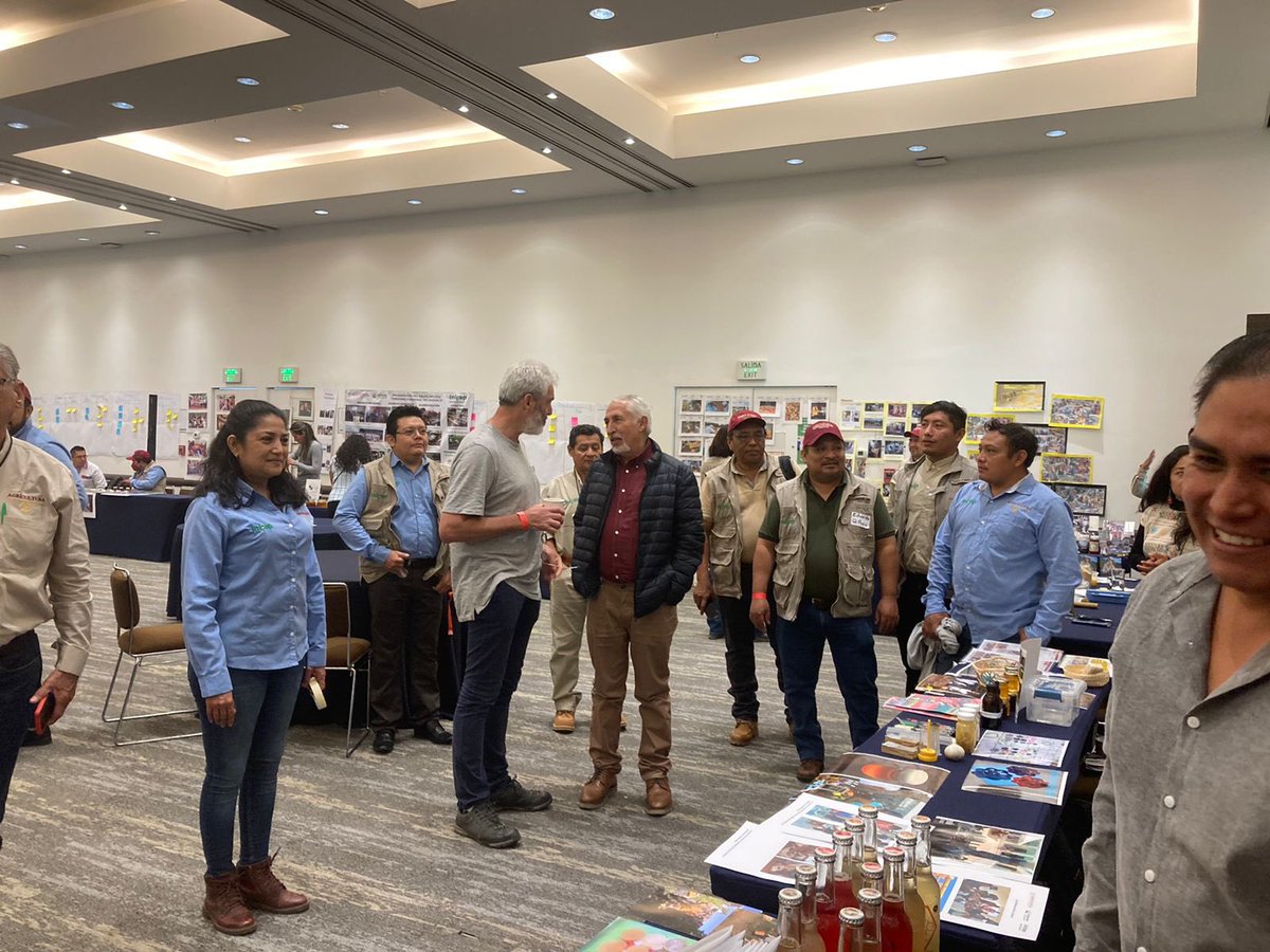 victor_suarez's tweet photo. La #EstrategiaDeAcompañamientoTécnico de #ProducciónParaElBienestar realizó un taller nacional de técnicos que impulsan la #TransiciónAgroecológica en productores apícolas y meloponícolas en todo el país. Participaron 79 técnicos de 23 estados. https://t.co/FFqVibvWFa