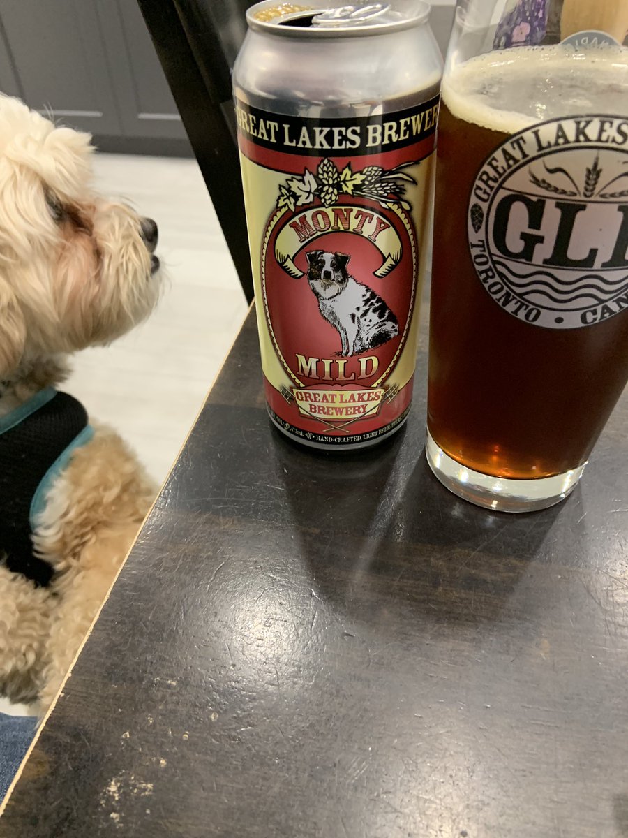 SOBeerBoys's tweet photo. @BeerStoreDude @Vegasfan1970 @GreatLakesBeer @freeszya @david_buist @ottawahockey @__Paul__G__ @RobFromInternet @greatbigkid_eh @SudburyHomebrew @lindabeer24 @BeerFromCanada Big B2B weekend for Leafers . Starting easy with a @GreatLakesBeer Monty Mild... my boy Monty is hoping for a sip. 😝 https://t.co/LqxUIsMAys