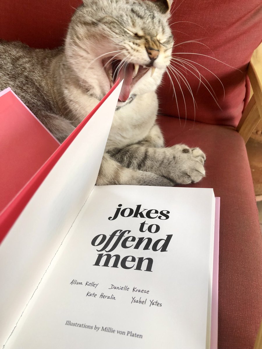 ⁦<a href="/Brewskiethecat/">Brewskie Carrasco</a>⁩ is not offended. In fact he loves ⁦<a href="/daniellekraese/">Danielle Kraese</a>⁩ and friends new book #jokestooffendmen two Brewskie thumbs up. Congratulations!