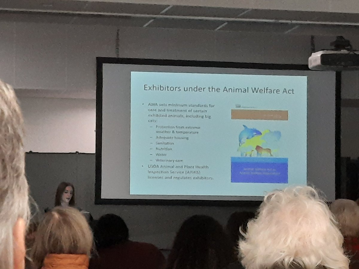 rethinkcaptive's tweet photo. @kdylewsky Kate Dylewski, M.A. from @AWIOnline speaking @PAWSARK2000 #PawsConference about the successes and areas to focus with regard to big cat welfare, legislation, and state vs federal laws & enforcement. Thank you! https://t.co/gfs8mJR6Bl