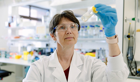 UQ Medicine (@uqmedicine) on Twitter photo #UQ's Professor Elizabeth Coulson has found a link between obstructive sleep apnoea and dementia in mice, with human trials now underway š„¼š¬
Read more here:
bit.ly/3UG9D6W
<a href="/QldBrainInst/">Queensland Brain Institute, UQ</a> #Coulsongroup #UQ's Professor Elizabeth Coulson has found a link between obstructive sleep apnoea and dementia in mice, with human trials now underway š„¼š¬
Read more here:
bit.ly/3UG9D6W
<a href="/QldBrainInst/">Queensland Brain Institute, UQ</a> #Coulsongroup