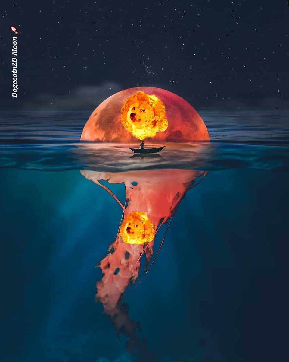 #dogecoin to the mooooooooooooooooooon 🚀