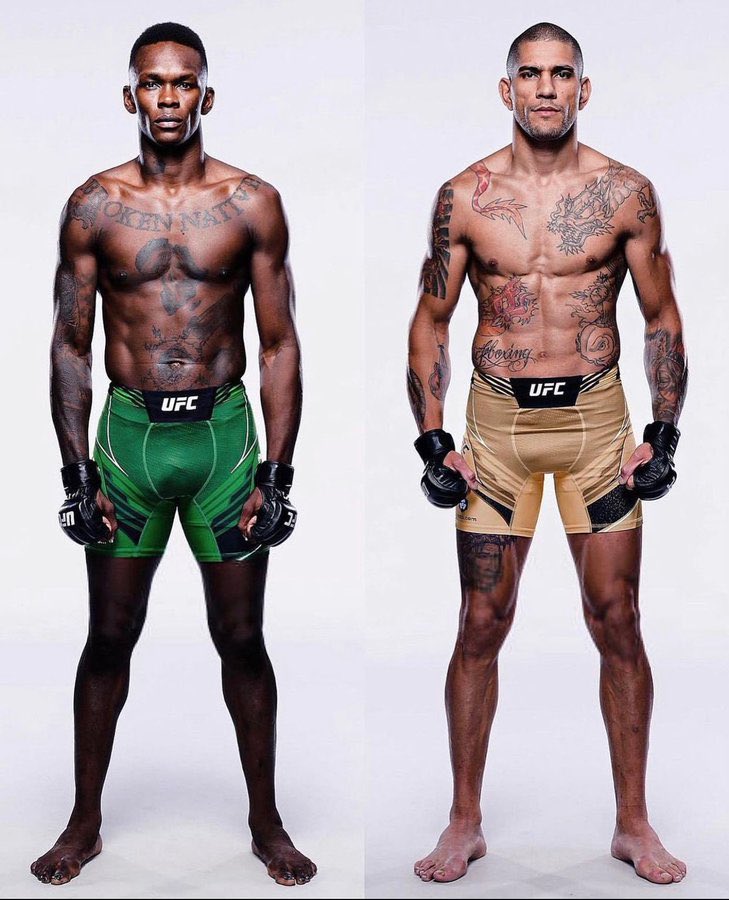 MMA Orbit tweet media