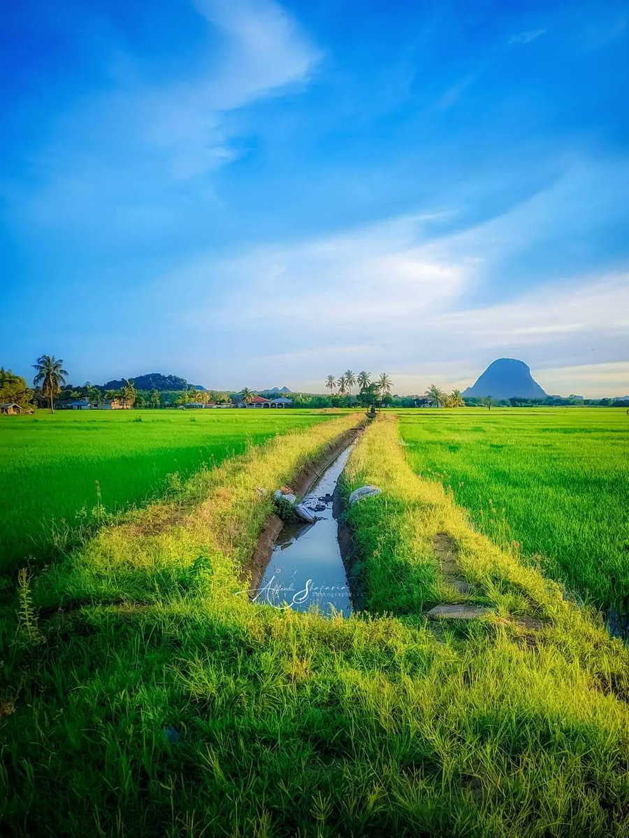 PerlisPermai's tweet photo. SALAM PERLIS
12 November 2022 | 17 Rabiulakhir 1444H
📷 Panorama Pagi @ Kg Sena Kok Mak, Padang Besar, Perlis, Malaysia
Kredit Foto : Affendi Fma
Ikuti kami : https://t.co/LrkwMTWvly
#PerlisPermai💛💙 #SelamatPagi🌄 #SalamPerlis #Perlisku #VisitPerlis #Malaysia🇲🇾 https://t.co/d8On0bwy25
