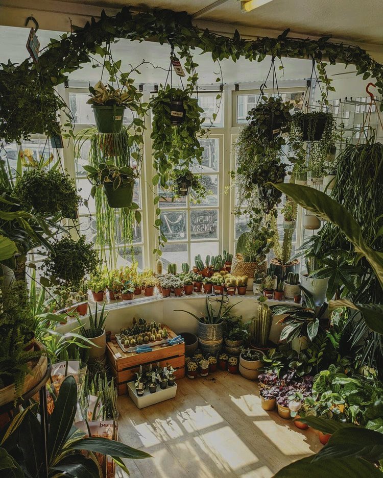mlmyearnbot_'s tweet photo. boys who love hot tea, plants, books, and travelling https://t.co/RvoQ7DfJi2