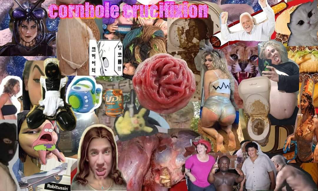 firstmaple_'s tweet image. 