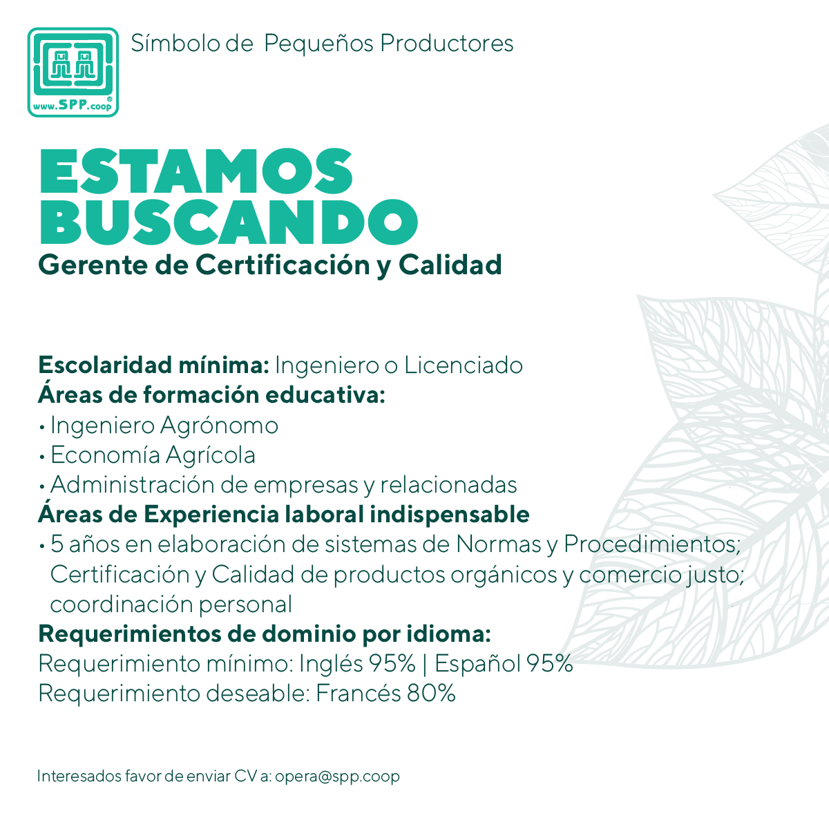 SimboloPP's tweet image. En SPP estamos en búsqueda de Gerente de Certificación y Calidad
Ve más detalles aquí  bit.ly/3WTtv8l
Compartenos tu CV a opera@spp.coop