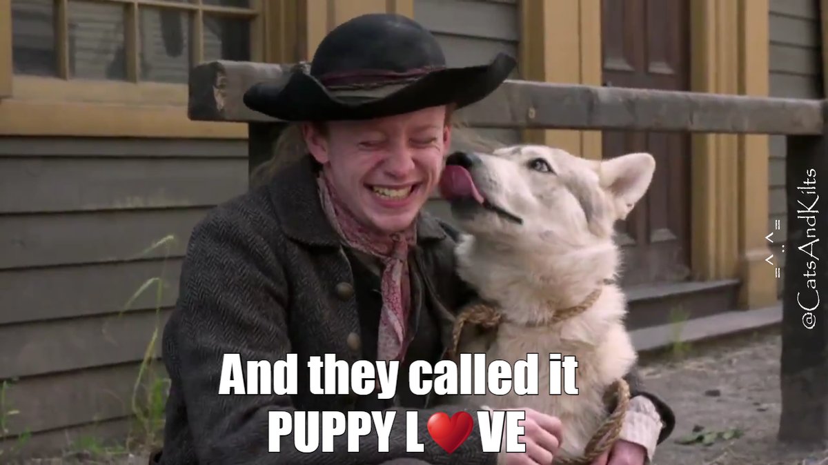 This #Outlander Rollo &amp; Ian rerun is from <a href="/CatsAndKiltsToo/">Cat of Cats and Kilts Too</a>;  #Rollo  <a href="/RolloWolfDog/">Rollo Wolf Dog</a>  <a href="/JHooked1/">CuatroVax'd y Masking, 'ken</a>  <a href="/OutlanderRollo/">Outlander Rollo</a>  <a href="/JohnBell/">JOHN BELL</a>