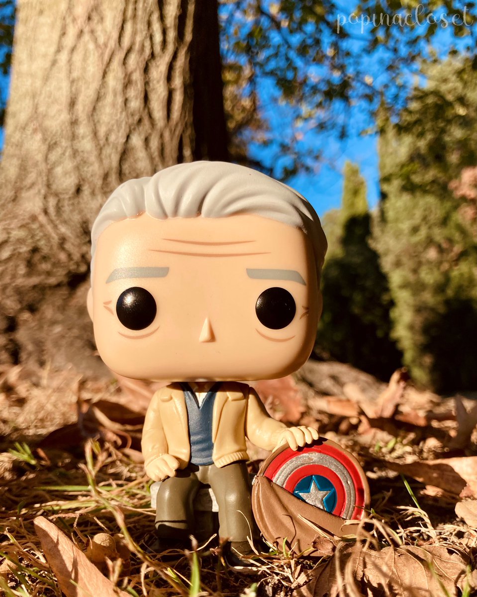 QuennG_'s tweet photo. Day 5 of November @funko #FunkoPhotoADayChallenge #veteransday https://t.co/wekG5gtsXp