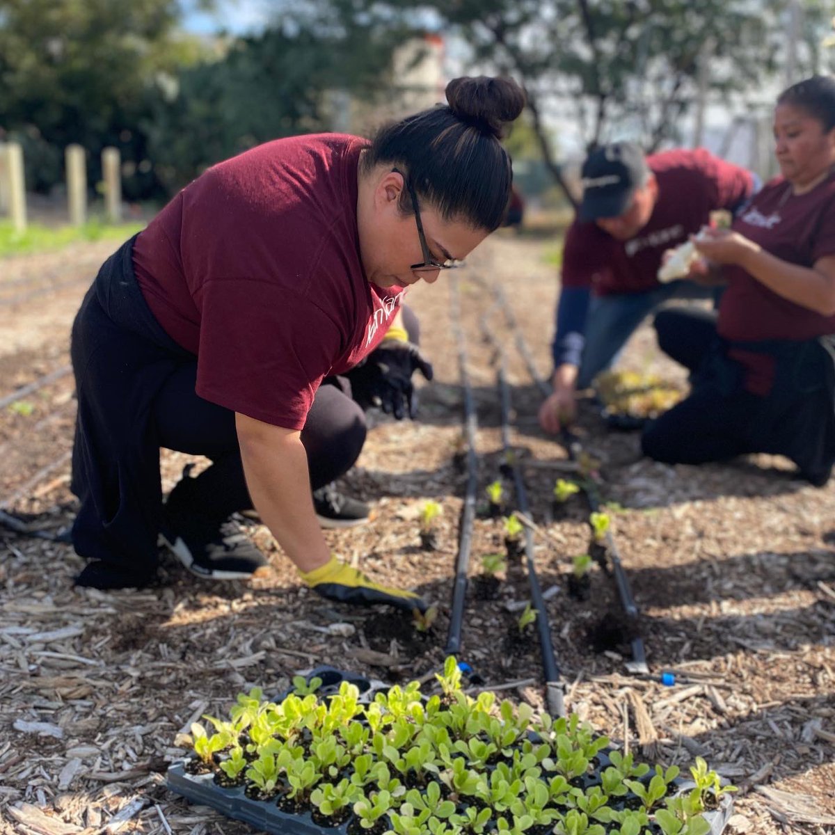WeGrowGood's tweet photo. Happy #VeteransDay2022! Today we hosted the @Karen_Kane team for their day of service and had a special Veterans Day celebration to honor all those who have served and our friends, the Bell Shelter @SalArmySocal.
#CityofBell #LosAngeles #Veterans https://t.co/K4pvGqCkib