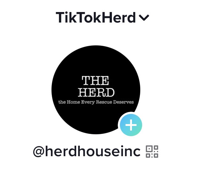 THE HERD HOUSE tweet media