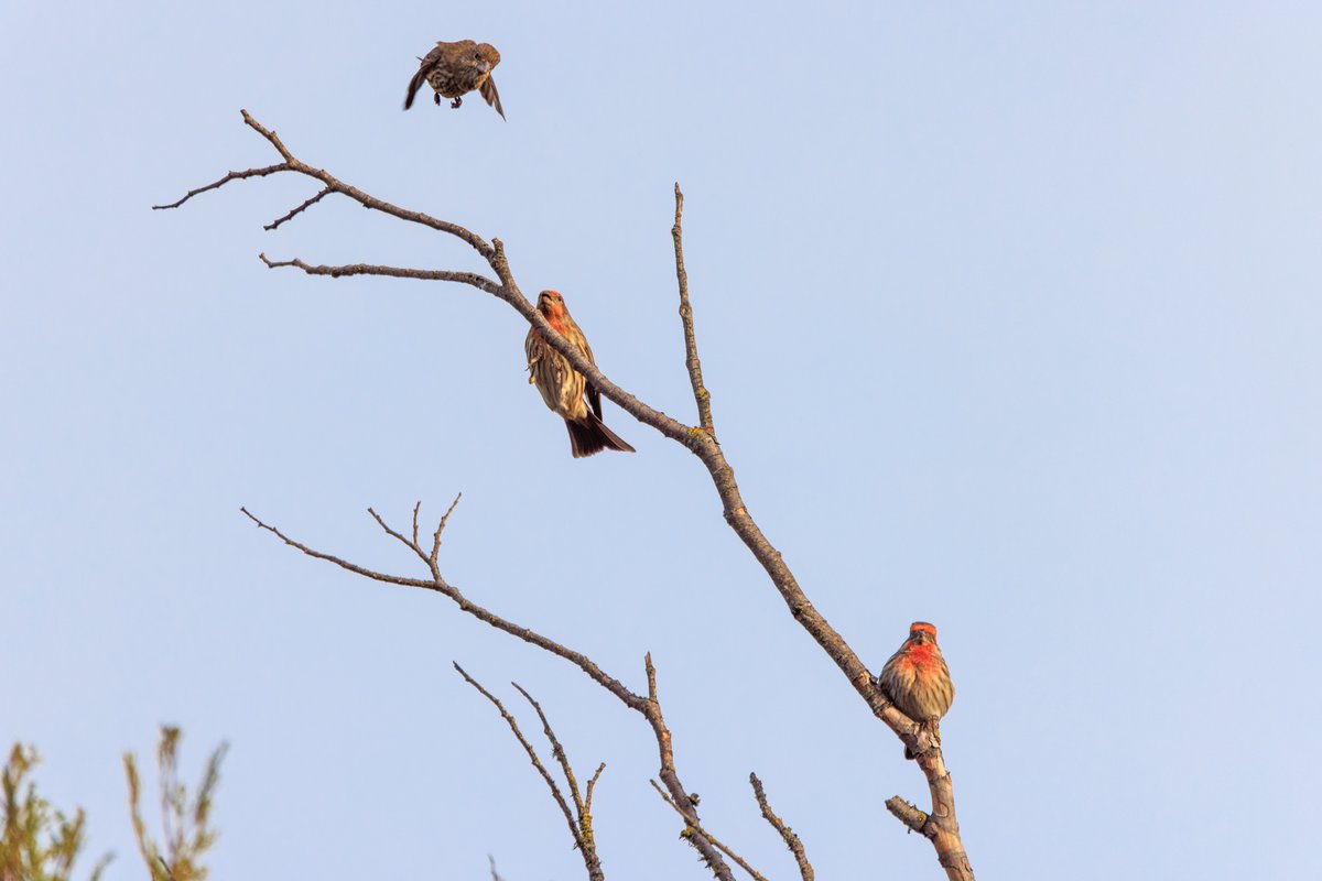 Chris Price 🏳️‍🌈 (@studiochris) on Twitter photo 