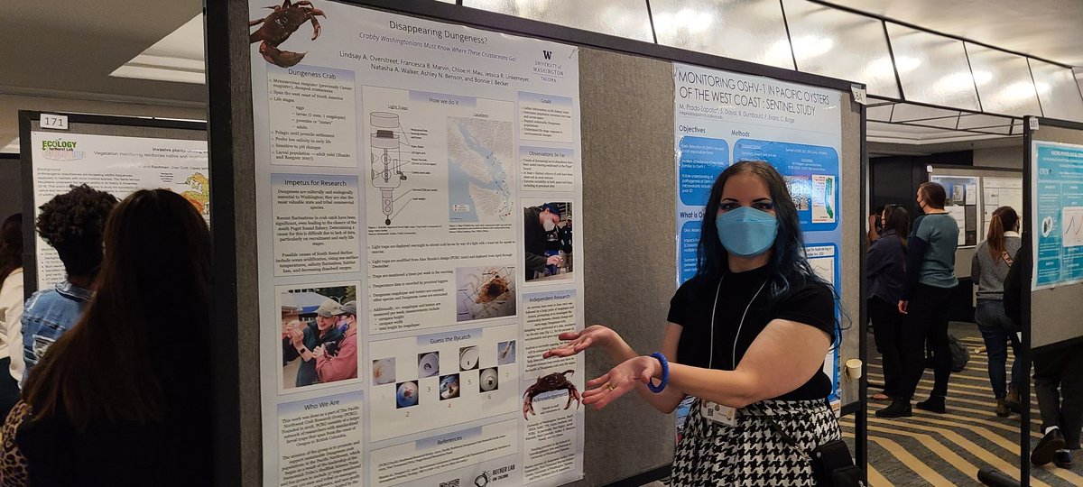 pisastero's tweet photo. Hey #WSN2022. Check out #beckerlab student, Lindsay O, at poster #183. She's presenting about her new independent work that comes from the @PNWCrab network. https://t.co/3WDtj7NvTc