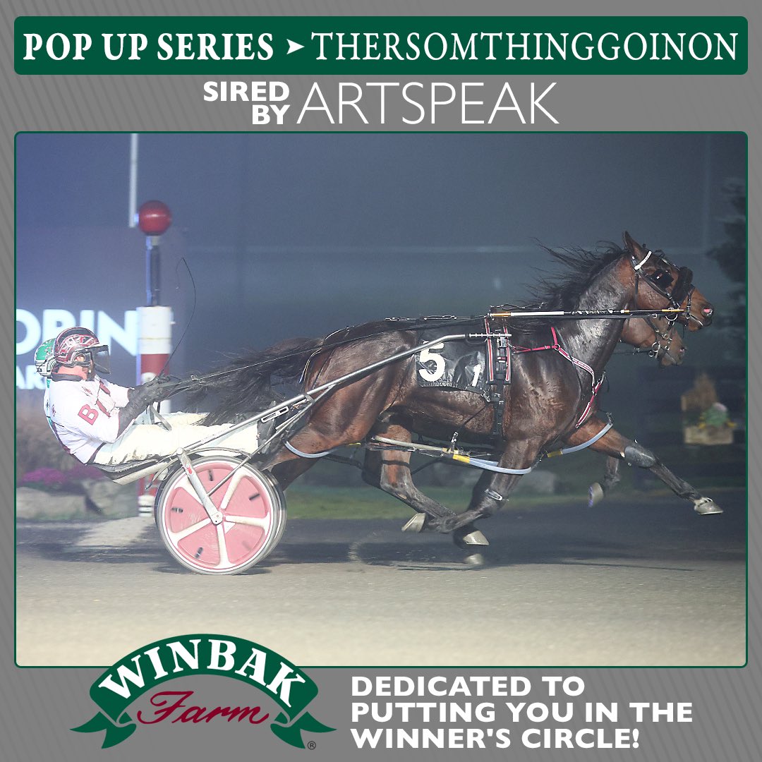 The thick fog didn't stop Beau Brown and THERSOMTHINGGOINON from getting their 2nd win in a row in the Pop Up Series <a href="/woodbinesb/">Woodbine Mohawk Park</a>.