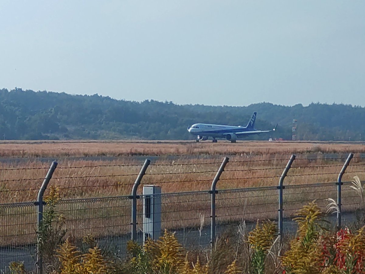 Johnny_aircargo's tweet photo. いつものところで空活🛫
今日のお空は霞んでました
そしてA321NEOはゴーアラ
岡山でゴーアラを見たのは
2回目です
#RJOB https://t.co/5OVJZoBFvJ