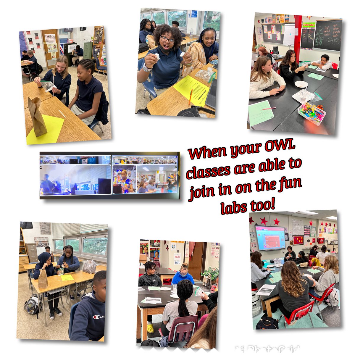 When your OWL classes are SUCCESSFUL and can join in on labs too, it’s a WIN-WIN situation. Their smiles on my big monitor in one word: PRICELESS❤️ <a href="/ommsaacps/">Old Mill Middle South</a> <a href="/LKParks4/">Lchandler 💙❤️🇺🇸📚</a> @Aacps_Science <a href="/AACountySchools/">AACPS</a> <a href="/MacArthurAACPS/">MacArthur  MS</a> <a href="/AACPSSupt/">AACPSSupt</a> #syntheticvsnatural