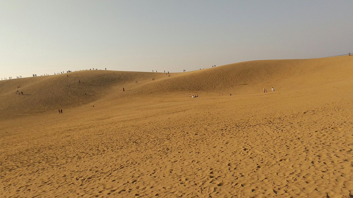 鳥取砂丘 (Tottori Sand Dunes) / Twitter