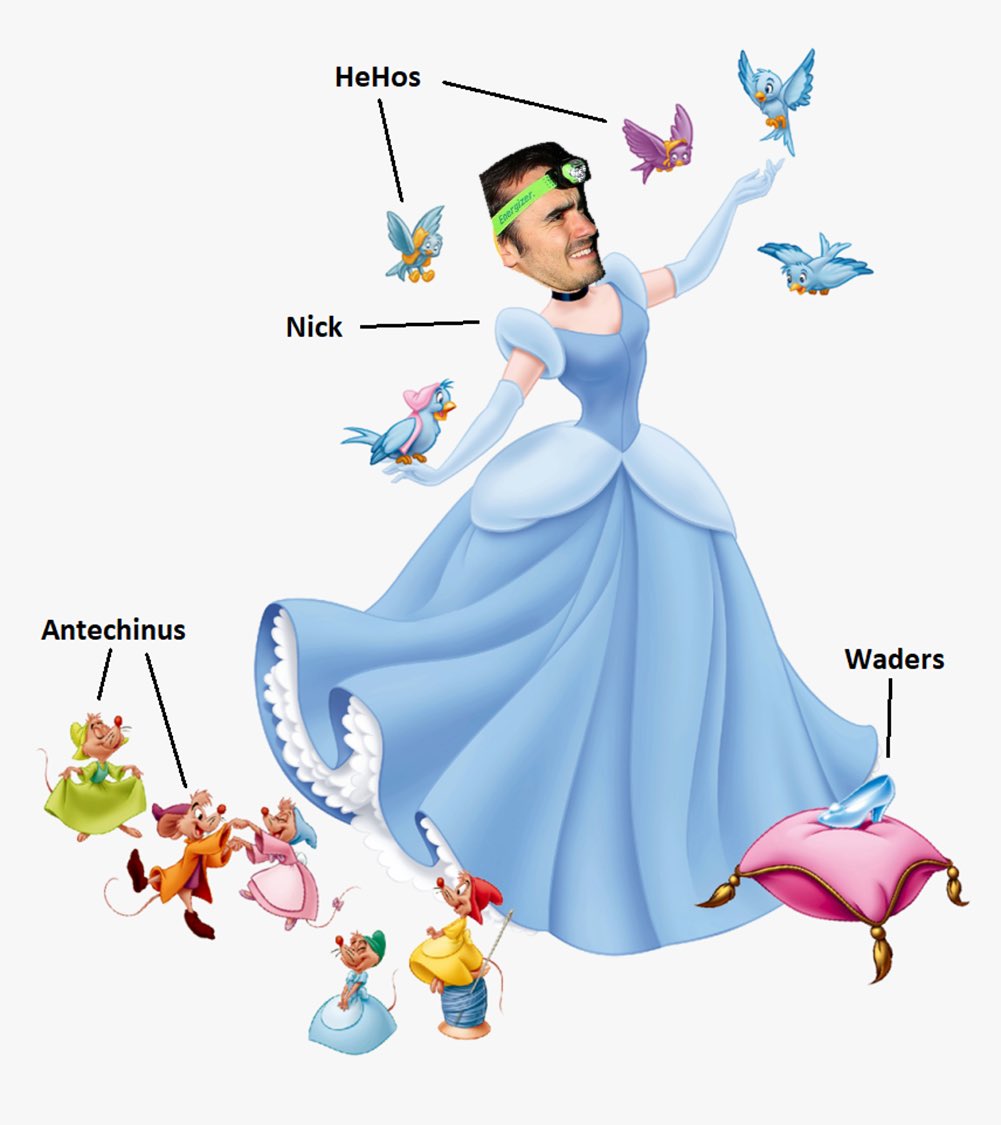 Arabella Eyre tweet media