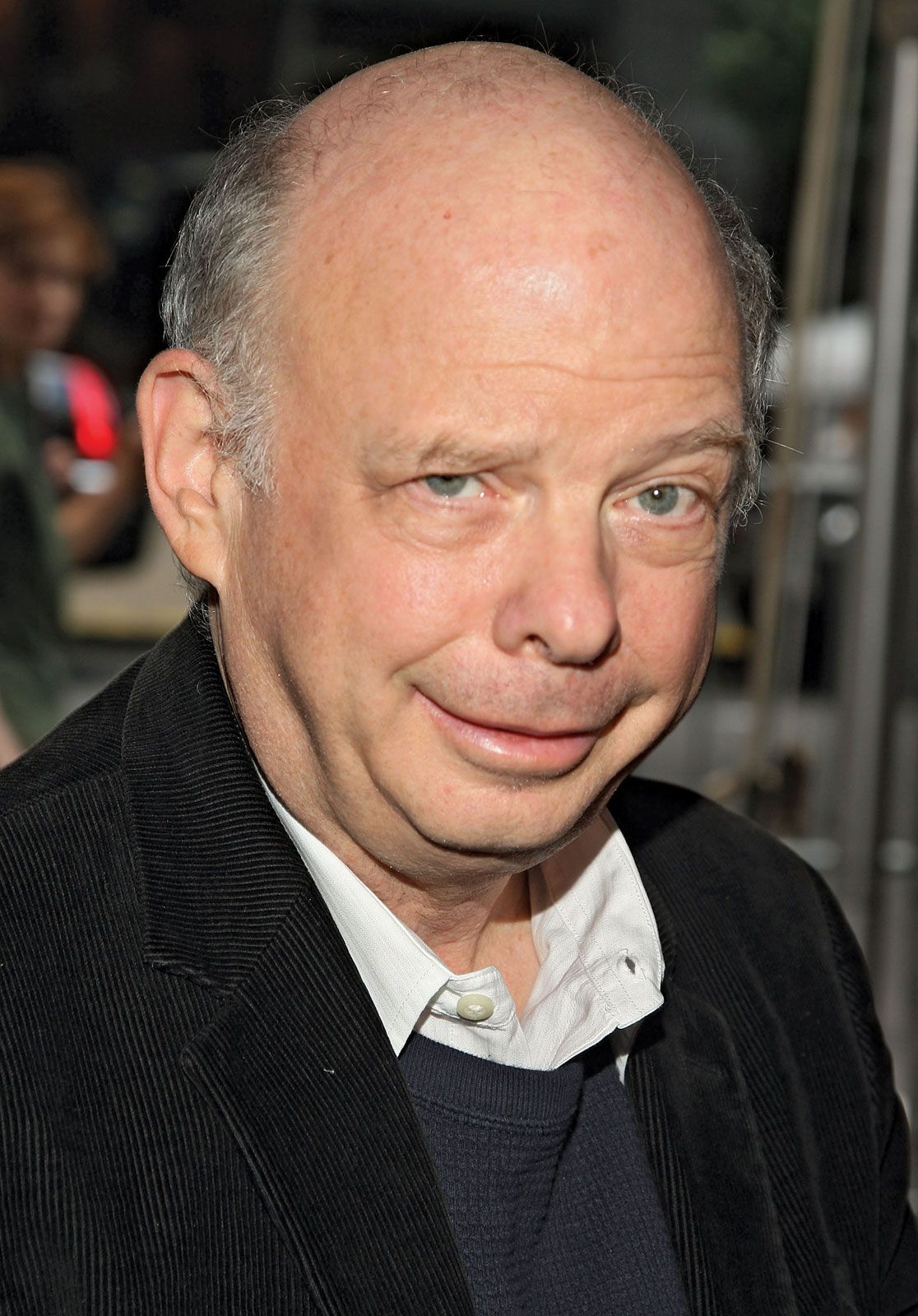 Happy Birthday to Wallace Shawn!!

Born: November 12th, 1943 