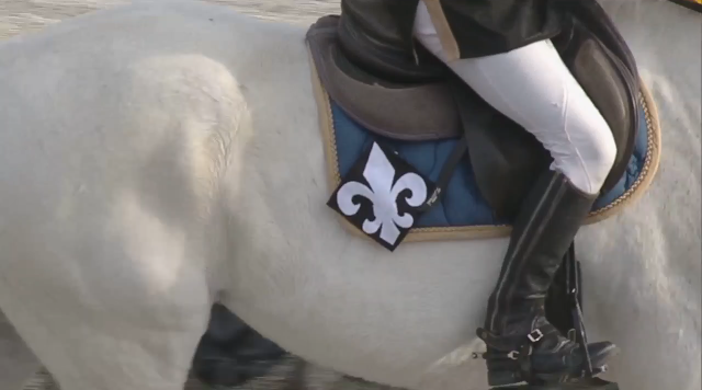 なんかありがたいね。
チャオにはブラゾンドゥリスの分まで頑張ってほしいな。