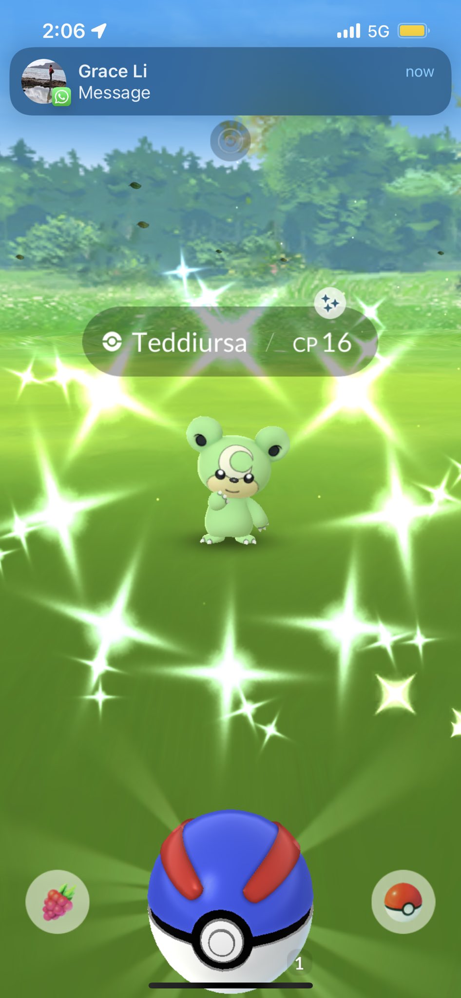 ポケモンgo 専用 Urbanisticka Platforma Platforma981 Hr