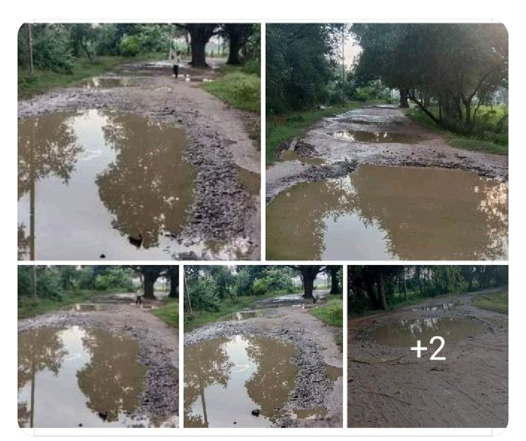 RamaSha19977462's tweet photo. #Amratalab_Babhanpurwa_Road #Rohtas #Sasaram #Bihar #DMrohtas #JDU #BJP #RJD #Cmbihar पलटू चाचा ये रोड इस टर्म में बन जाएगा की अगली बार #राहुल_गाँधी https://t.co/3TRAY1yIqG