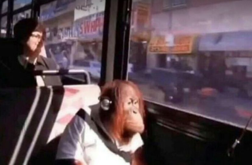 hijoVT's tweet photo. I would appreciate it if you people stopped taking pictures of me in public transportation and posting them thank you 😞

#Vtuber #VtubersEN #VtuberUprising #VtuberUprsing https://t.co/aOA3i8Wvm7