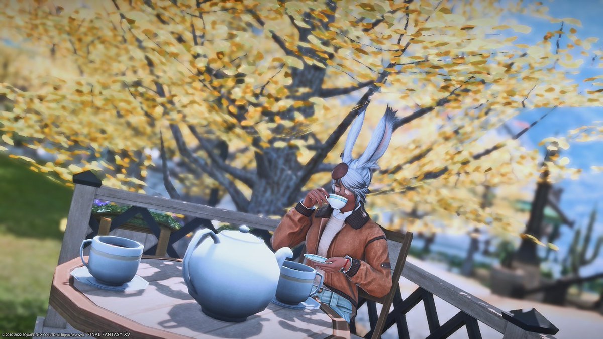 Lemon_ff14ss's tweet photo. のんびり~
#FF14 #FF14SS #FFXIV #ffxivsnaps
#NVIDIAFreeStyle #GPOSERS #XIV_PICTCLIP
#Viera #ヴィエラ #本日のヴィエラ #おはウサ https://t.co/jOELLs54Km