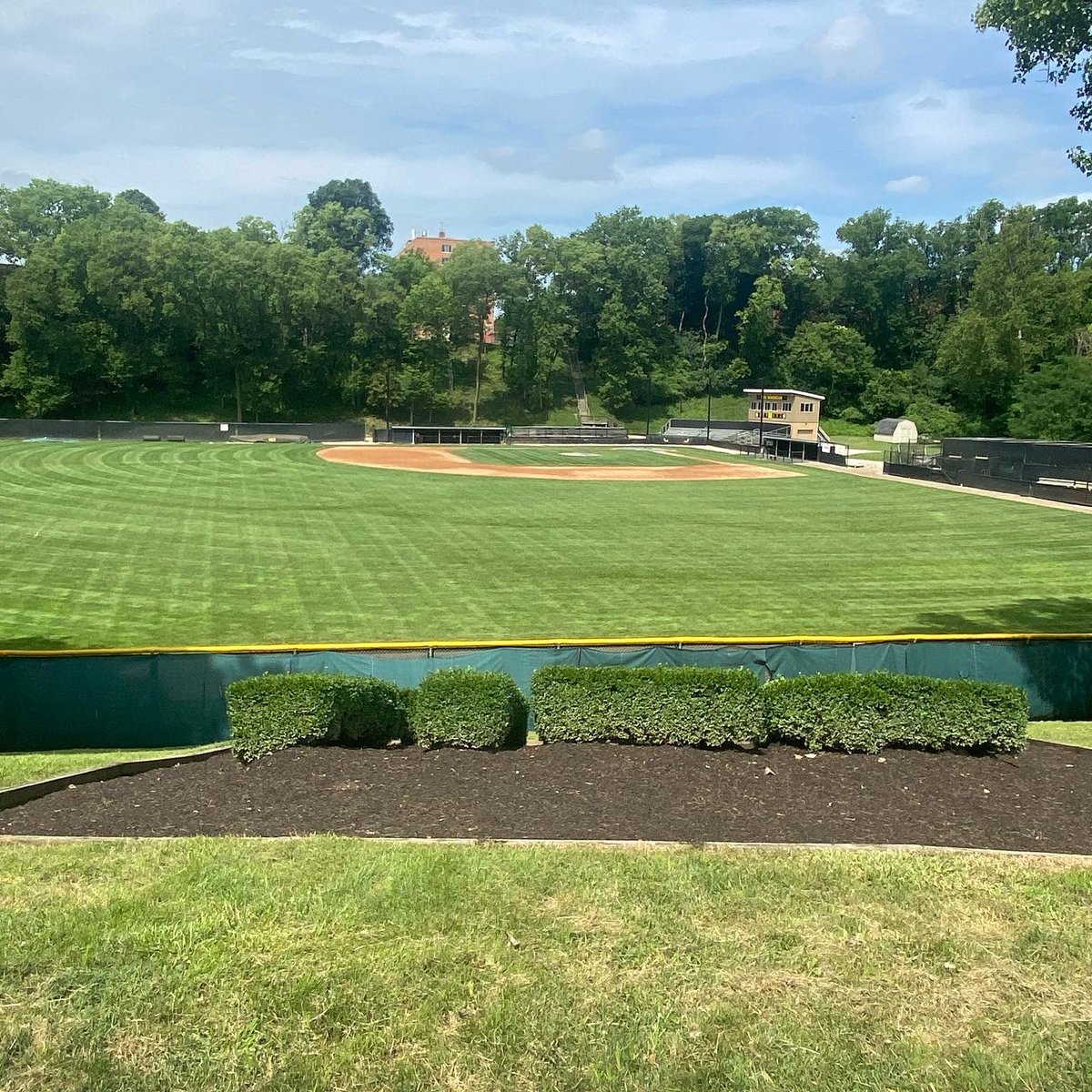 HoerstenJared's tweet photo. I am excited and blessed to announce my commitment to continue my academic and athletic career at Ohio Dominican University. I’d like to thank my family, friends, and coaches for helping me along my journey. #RollPants💛🖤  @ODUBaseball_ @CoachHulls @PBROhioScout @ClayBaseball16 https://t.co/S8u2D2LKPp