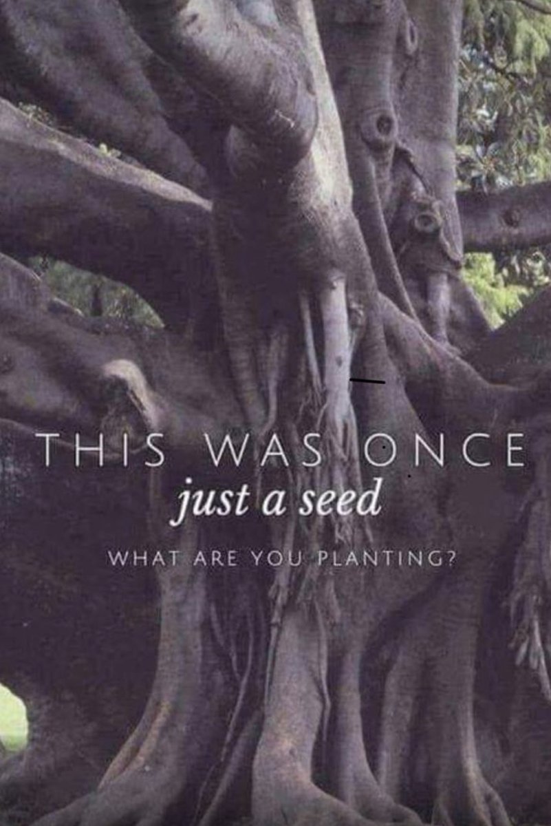 NileshShah68's tweet photo. A small seed of Regular Investing planted decades ago has now grown to be a giant SIP tree of 5.93 Cr folios, Rs 13041 Cr flows last month &amp; Rs 664,781 Cr AUM. 
Kudos to all the MFDs/RIAs who have taken the message of “SIP Karo Mast Raho” to every pin code of India. https://t.co/FEd6aSWTH8