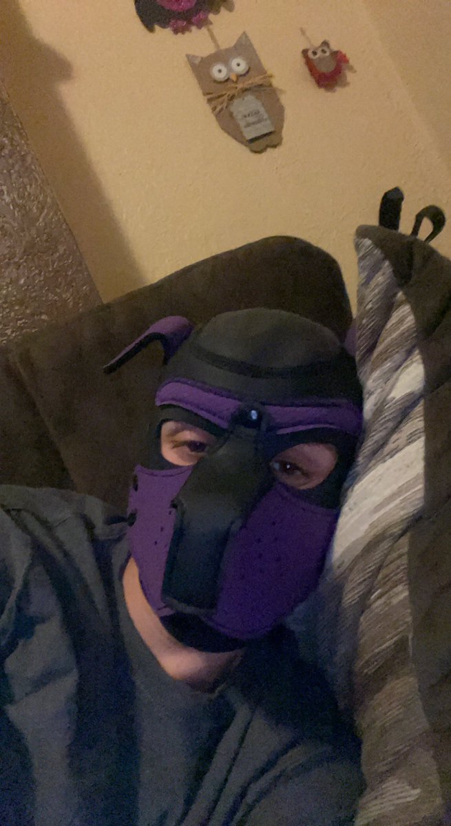 Jacksonjames178's tweet photo. Emotions running haywire, must activate escapism. #puptime #depression https://t.co/zvLISRATU6
