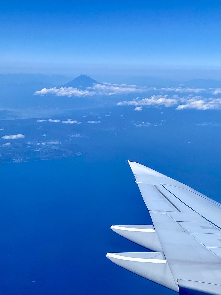 Yaya Han tweet media