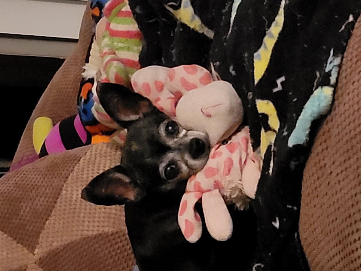 Onesmartdeeva tweet media