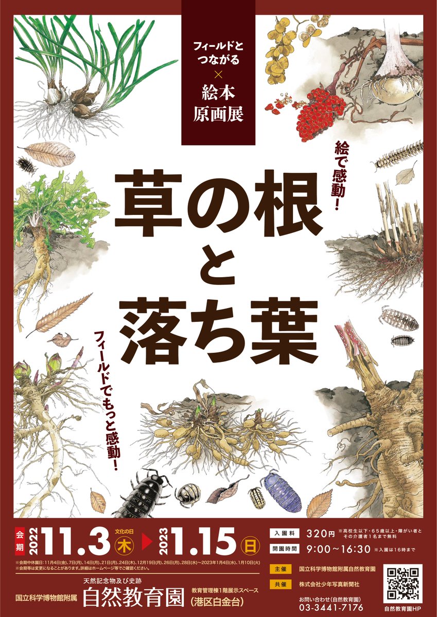 museum_kahaku's tweet photo. 現在、附属自然教育園では
秋ならではの企画展を開催中!!✨

絵本原画を楽しみながら、園内で植物も観察できる、絵本原画とフィールドをつなぐ新しい企画展です🤗

🍂企画展「フィールドとつながる絵本原画展　草の根と落ち葉」
会期：～2023/1/15（日）
https://t.co/8UavxCkQdI https://t.co/cZq0gqs39s