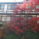 温泉ワンダフル ONSEN_WONDERFULのツイート画像