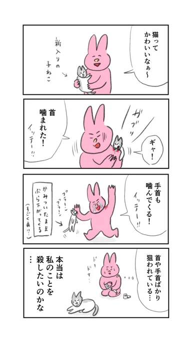 ある疑惑 
#猫がいる暮らし 