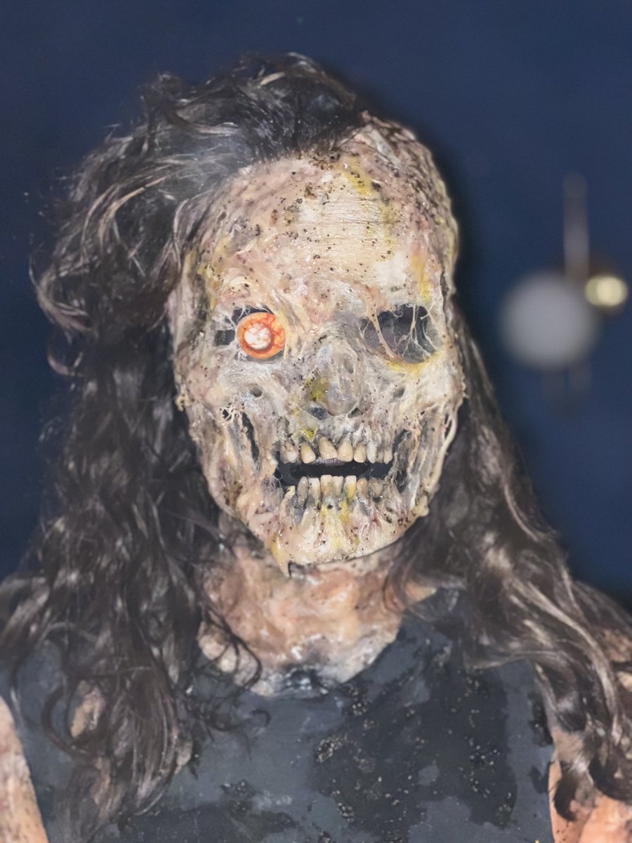 Josh Goldbloom tweet media