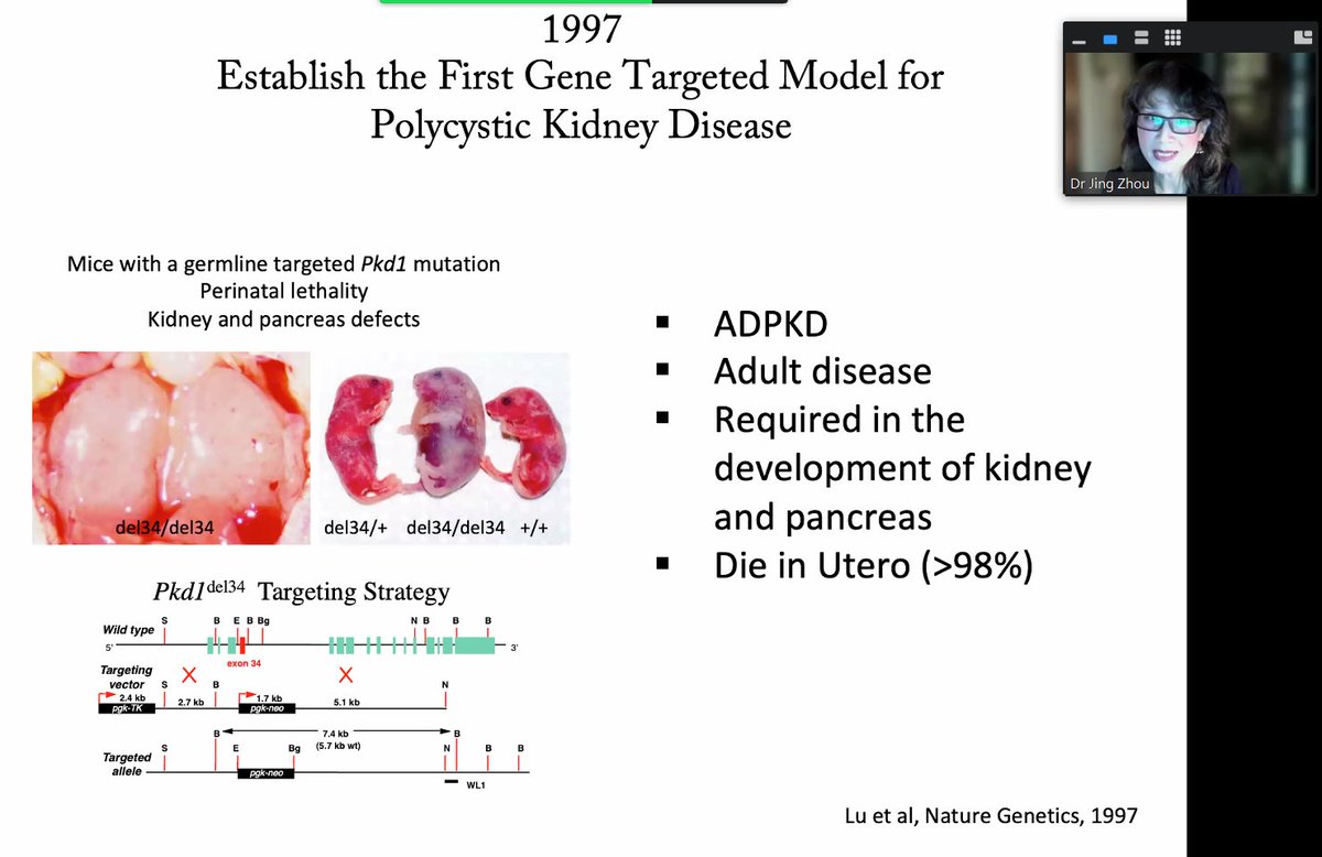 Chinese American Society of Nephrology tweet media