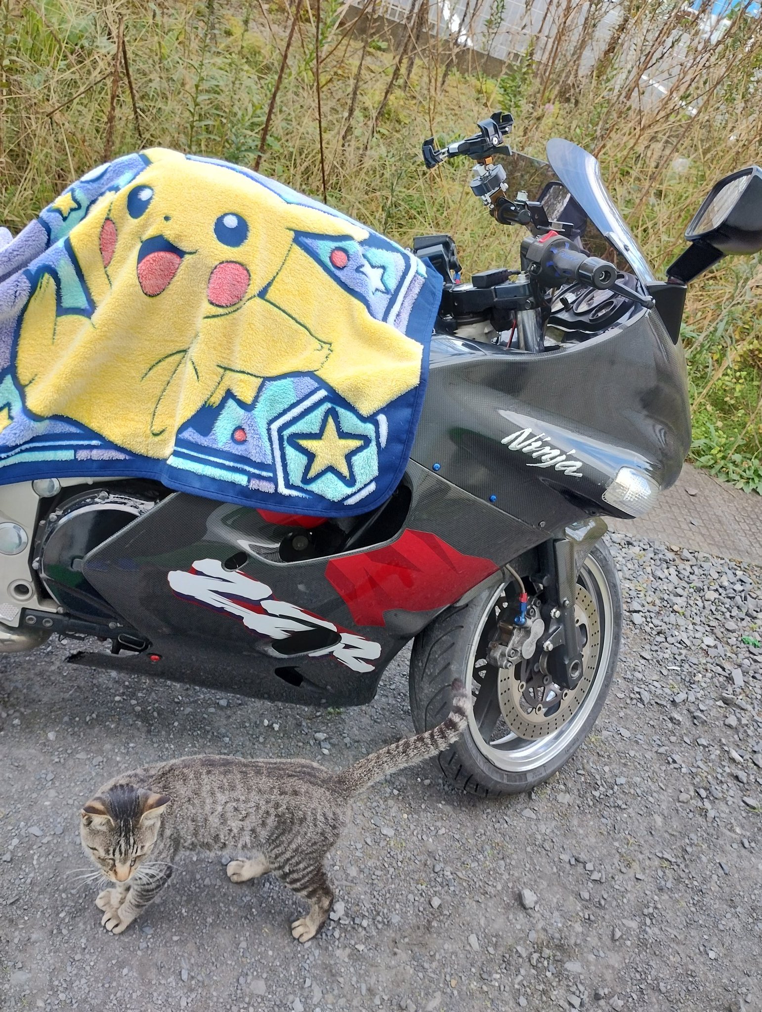 ジュピター@ZX-11 D1 (@sterben1021) / Twitter ジュピター@ZX-11 D1 (@sterben1021) / Twitter