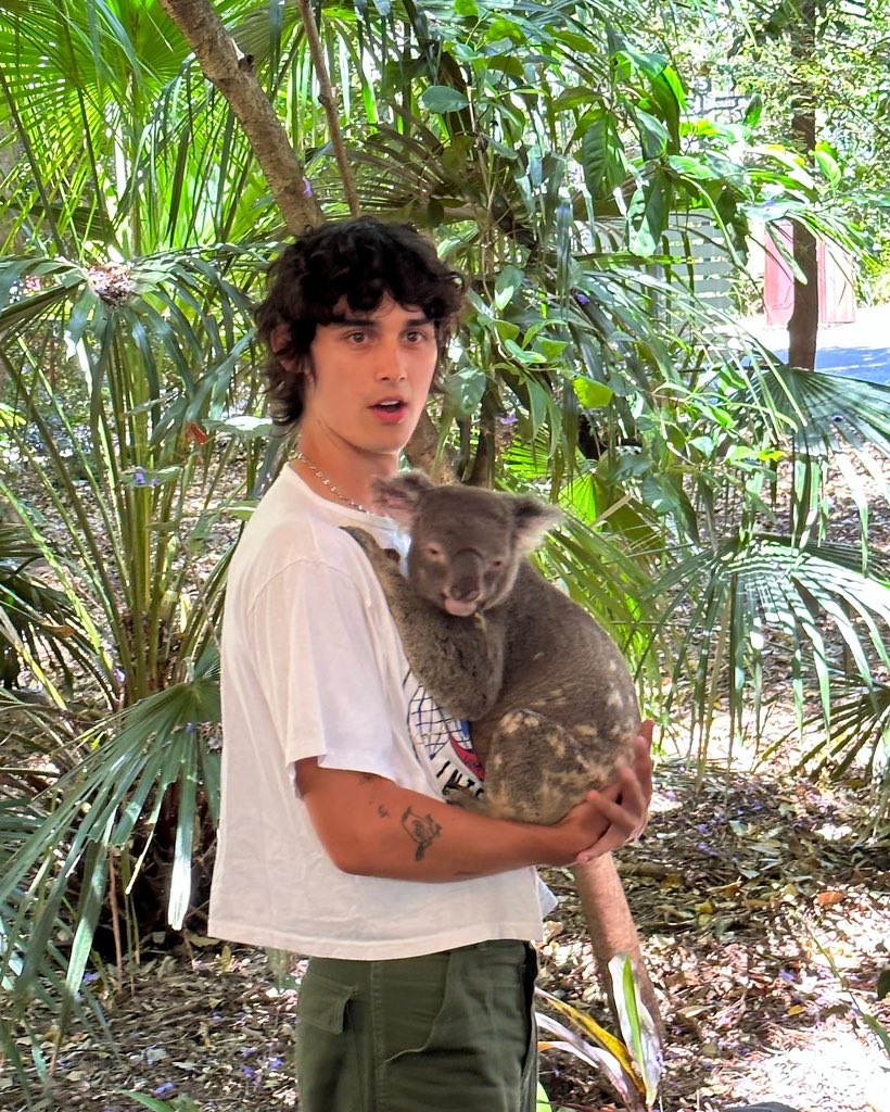 Wallows on Twitter: “we had to https://t.co/WWUGAzNTjI” / Twitter