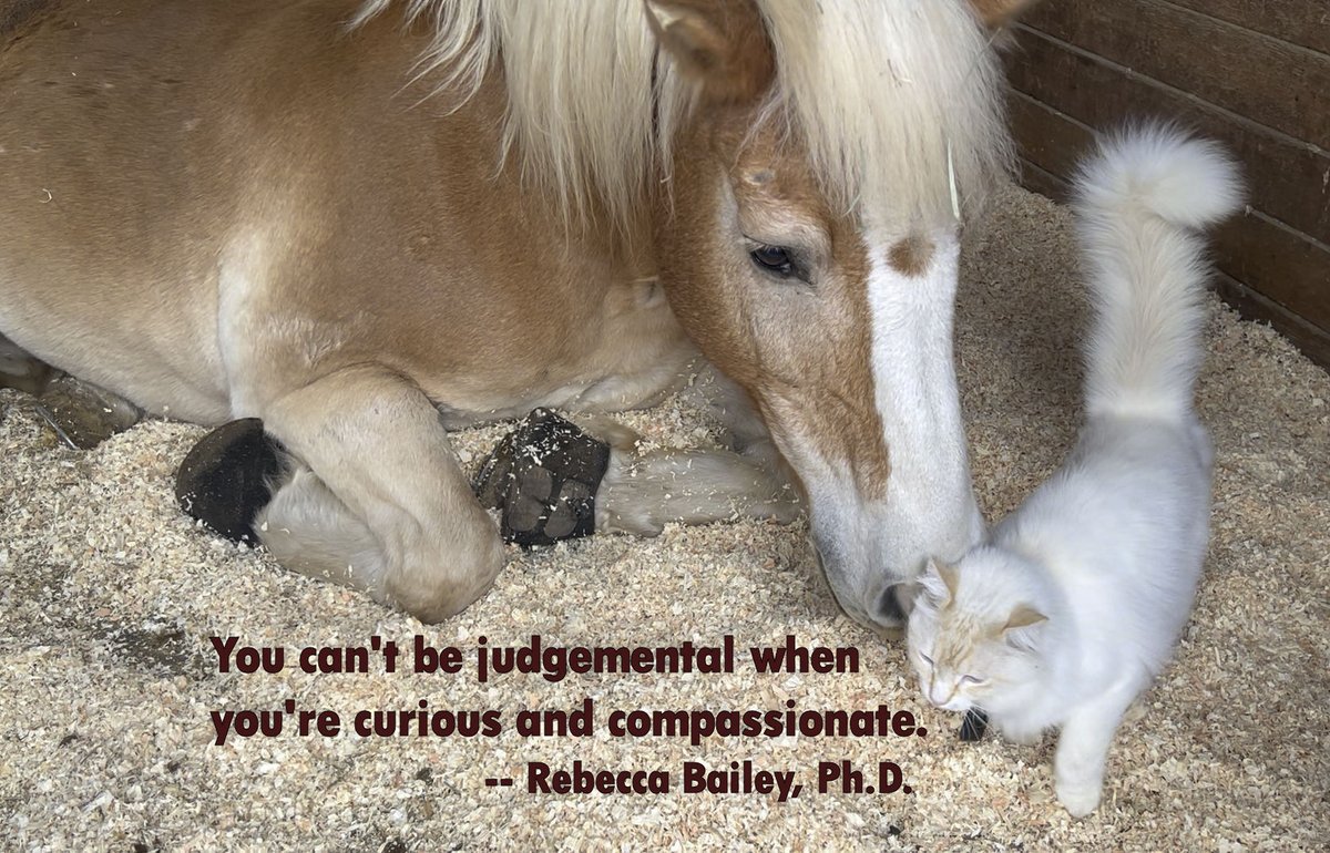 Rebecca Bailey (@drrebeccabailey) on Twitter photo 