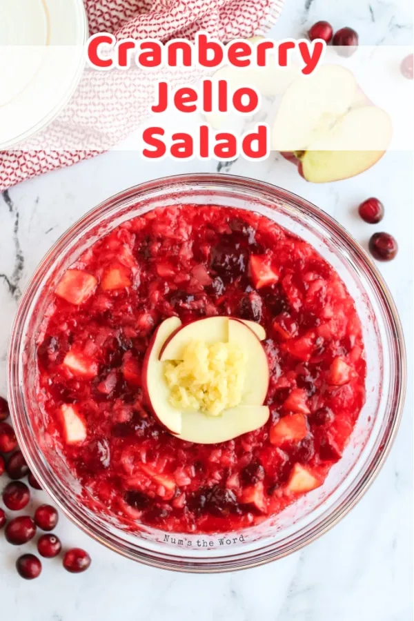 kaitsu22's tweet photo. @MsGerner_3 @AlaneAdamsBooks We have a jello salad that we always make- cranberry salad. Its filled with apples, pecans, cranberries, grapes, celery, pineapple, mandarin oranges (and whatever else we feel like at the time) strawberry and raspberry jello https://t.co/mwoY5jKNoZ