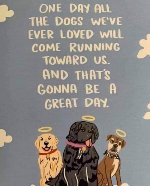 Cat Martinez tweet media