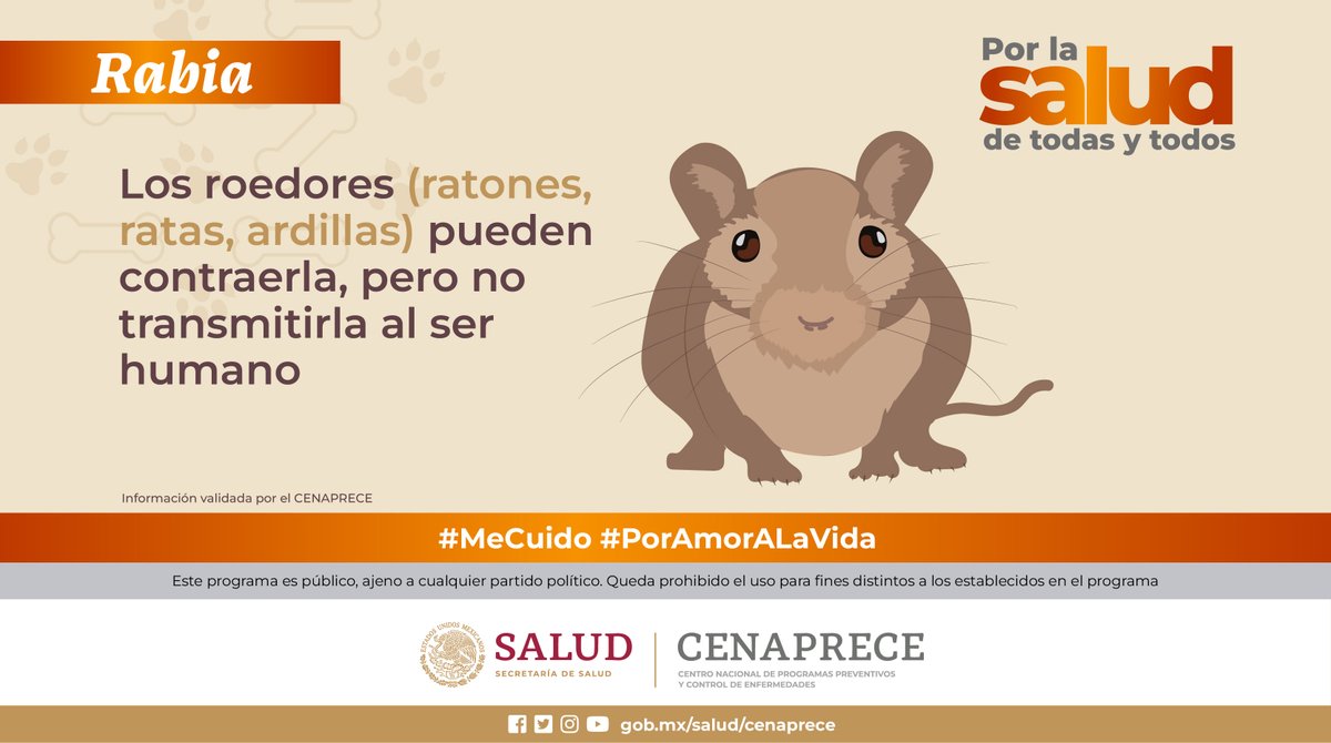 SALUD México on Twitter: 