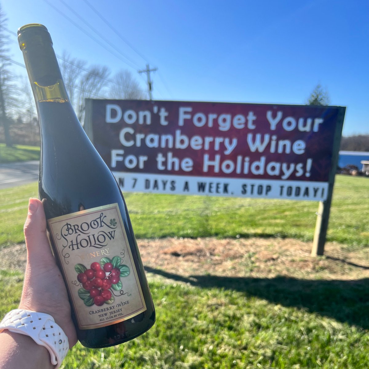 You can't have Thanksgiving without Wine!!🍷 
brookhollowwinery.com