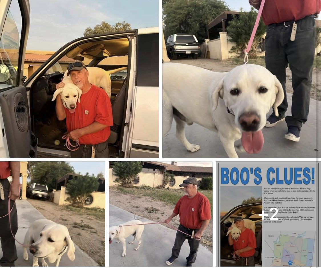 hankahoula's tweet photo. Boo was found in Phoenix !! #BringBooHome - a 4 month search ended with the most happy ending. #YumaAZ https://t.co/MZPSr8NNjV