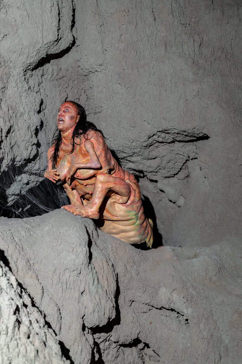 Vanessa Winter tweet media