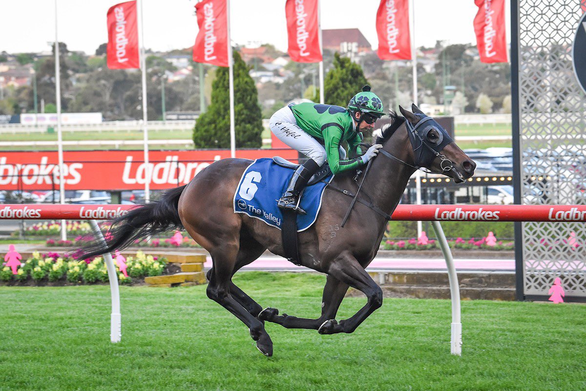 After winning his last three including an easy victory <a href="/TheValley/">Moonee Valley Racing Club</a> last start, our stable star I Am War heads to the @CranTurfClub today for the Apache Cat Classic over 1000m - we wish all the connections the best of luck 🤞🏻🏇🏻