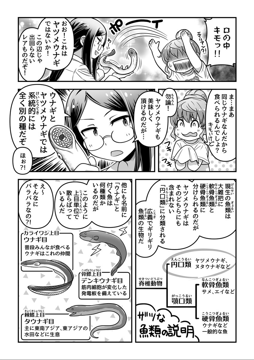 再掲:紛らわしい名前の生き物の話(1/2) 