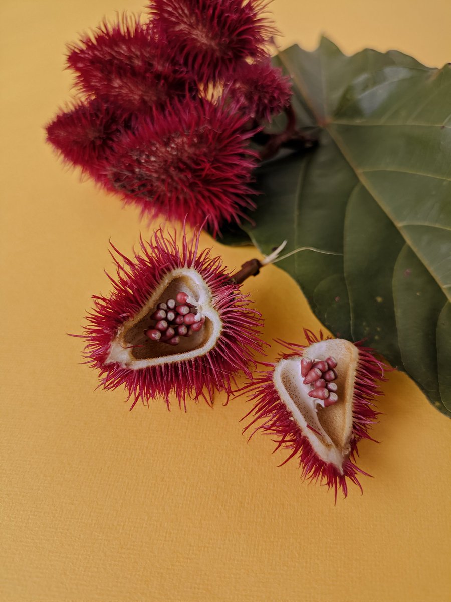 RaavananPhoto's tweet photo. Minimal series
New post in my @Pindle_India
Account https://t.co/APkpIZ8YWu
#2 #mechan #pindle #pindleindia https://t.co/qrXMC2CEAl